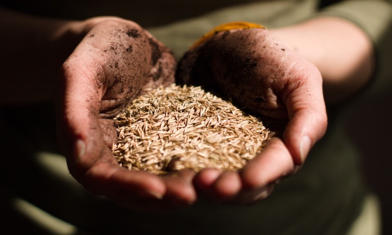 Conflict and climate shocks continue to be the primary drivers of acute food insecurity: World Bank